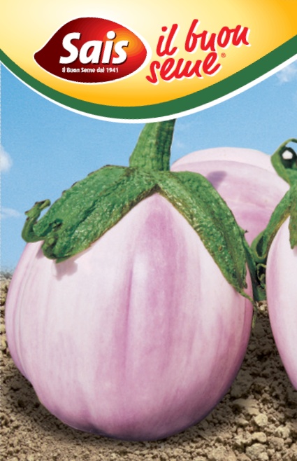 baklazan rotonda bianco.jpg